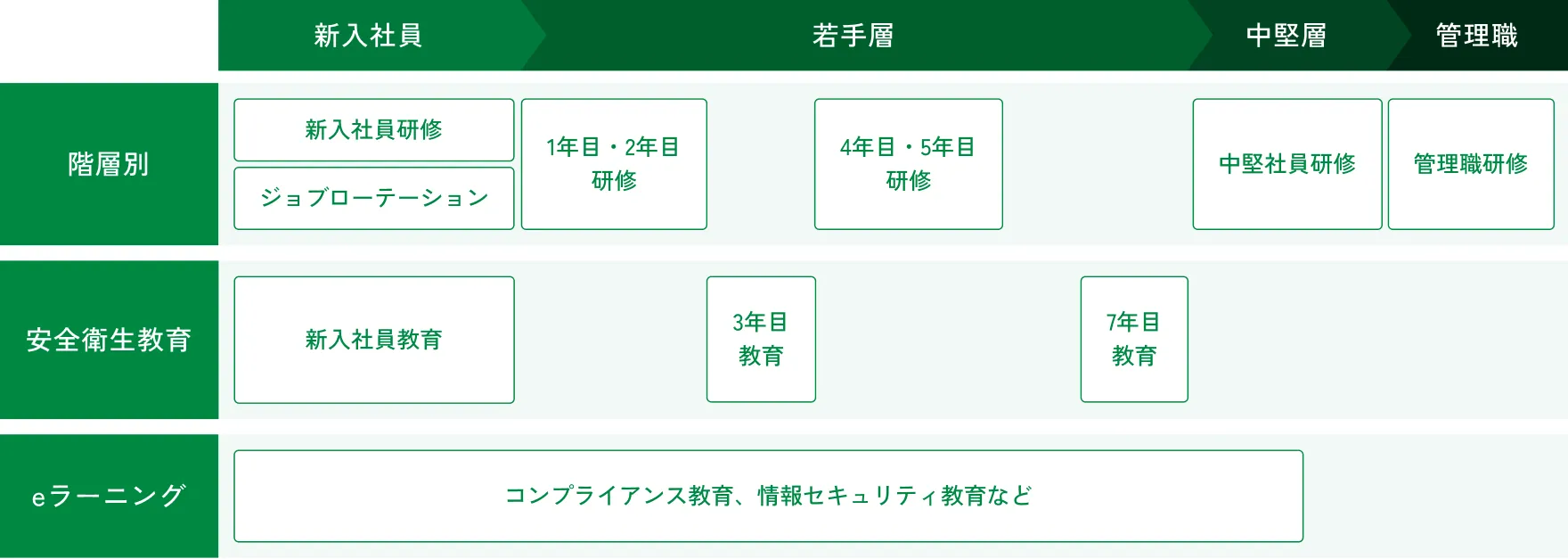 研修体系図。「新入社員」「若手層」「中堅層」「管理職」の4つのキャリア層があり、各層に応じた研修が段階的に示されている。